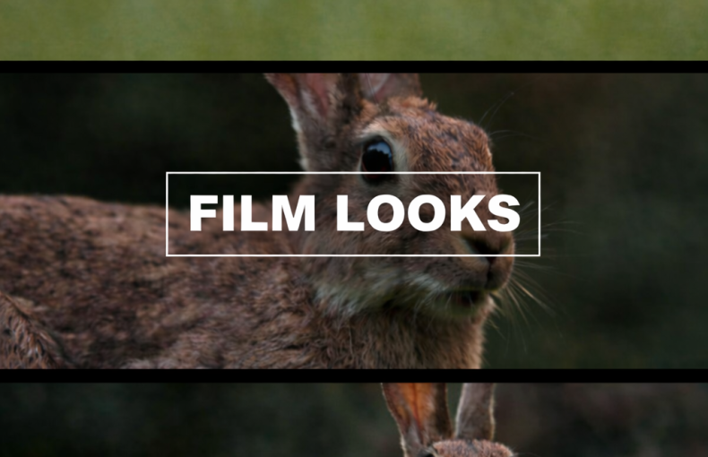 Final Cut Pro Presets Optimized for Blackmagic Pocket Cinema Camera