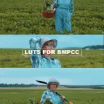 Cinematic Film Look LUTs Pack – Perfectly Calibrated for BMPCC 4K & 6K RAW Footage