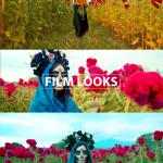 Hollywood-Grade Color LUTs Designed Specifically for Blackmagic Pocket 4K & 6K