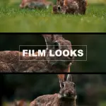 BMPCC 4K and 6K LUTs: A Comprehensive Collection Featuring 5 Cinematic Color Grading Presets + the Complete Sony S-Log LUTs Pack