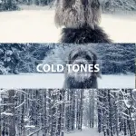 BMPCC 4K and 6K LUTs: A Comprehensive Collection Featuring 5 Cinematic Color Grading Presets + the Complete Sony S-Log LUTs Pack