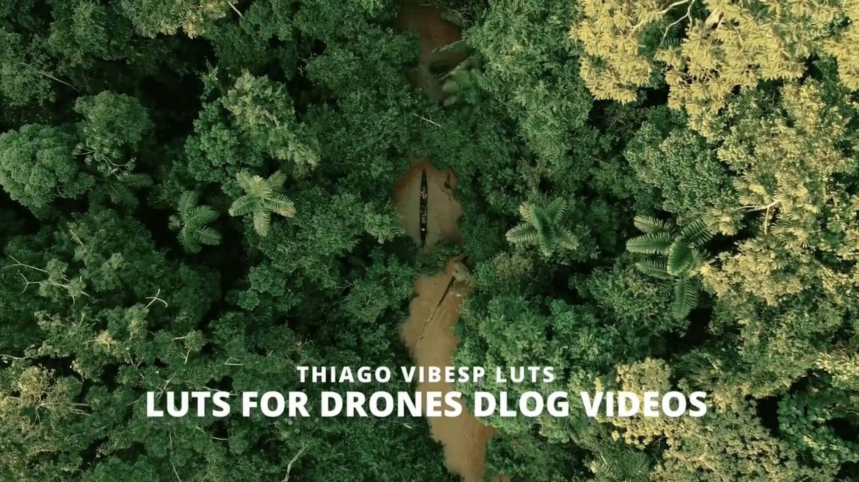 The Ultimate 2-in-1 DJI DLOG LUT Pack: Cinematic & True Color